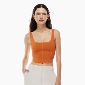 Aritzia square neck bustier top